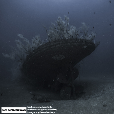 Ghosts of the deep Page VII - Black Coral Wreck